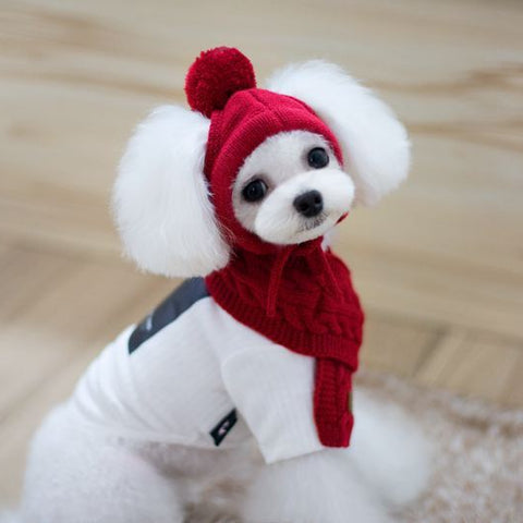 Tide pet clothes dog hat bib suit Teddy Bomei wool scarf autumn winter hat pet scarf