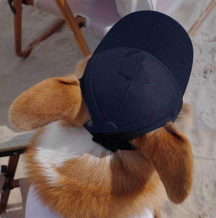 New Adjustable Sun-proof Exposed Ears Pet Hat