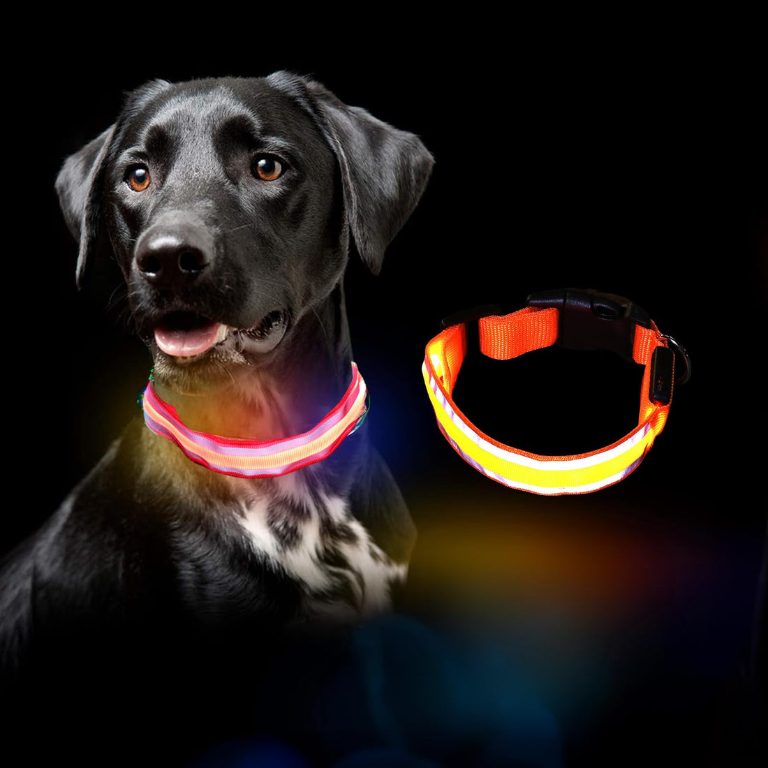 The Importance of a Light-Up or GPS Collar for Your Pet 🐾