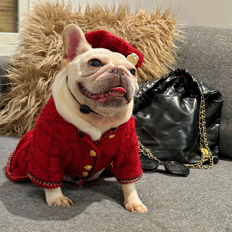 Pet Trendy Brand Popular Clothing