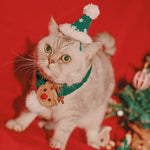 Pet Christmas Hat Hand Woven