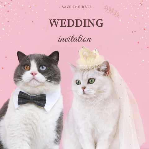 Pet Wedding Princess Crown Headdress Cat