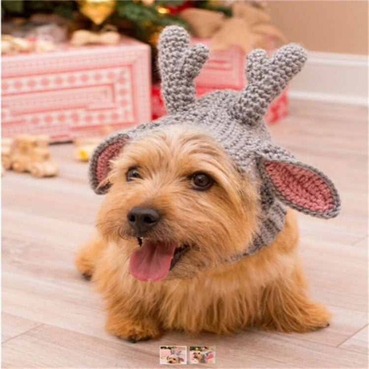 New Pet Hat Cute Style Braid Headgear Spring And Autumn