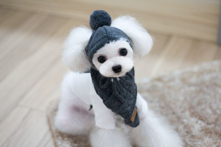 Tide pet clothes dog hat bib suit Teddy Bomei wool scarf autumn winter hat pet scarf