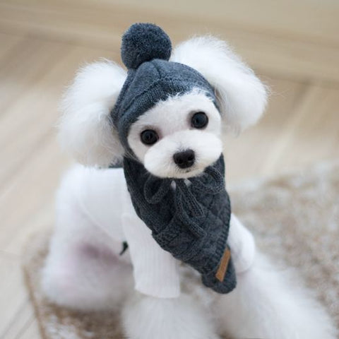 Tide pet clothes dog hat bib suit Teddy Bomei wool scarf autumn winter hat pet scarf