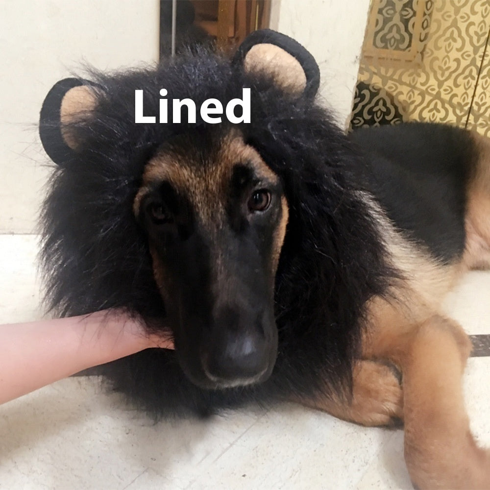 King Of The Jungle Pet Funny Lion Head Cover