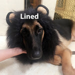 King Of The Jungle Pet Funny Lion Head Cover