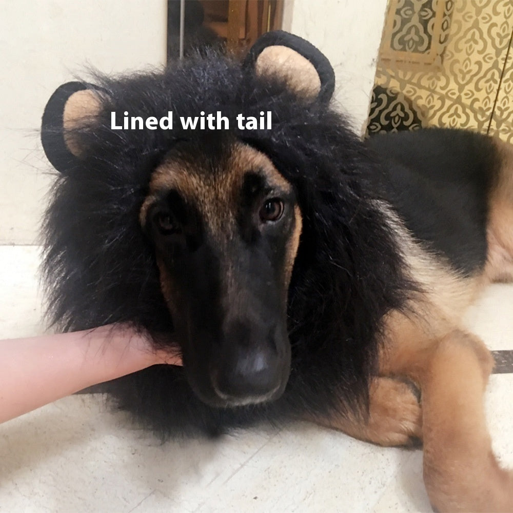 King Of The Jungle Pet Funny Lion Head Cover