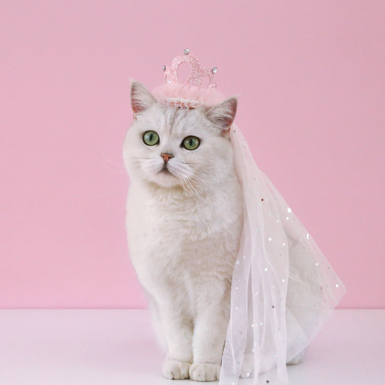 Pet Wedding Princess Crown Headdress Cat