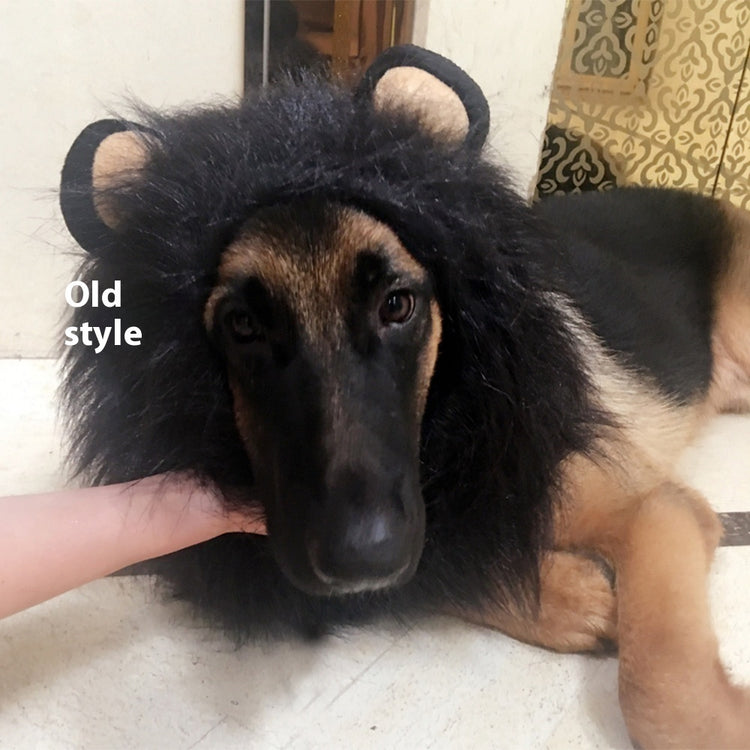 King Of The Jungle Pet Funny Lion Head Cover