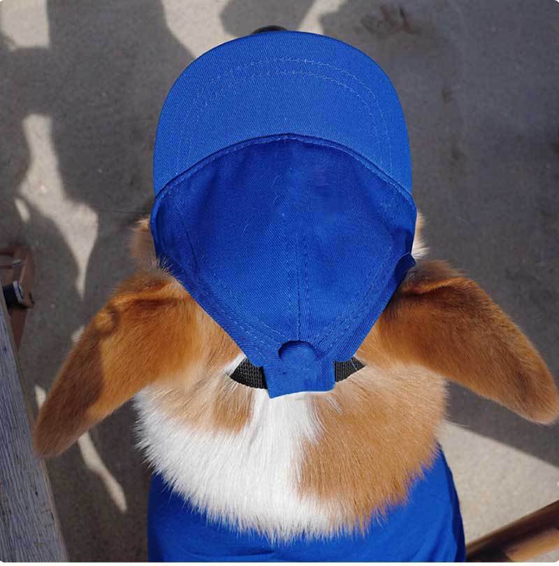 New Adjustable Sun-proof Exposed Ears Pet Hat
