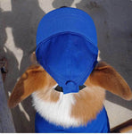 New Adjustable Sun-proof Exposed Ears Pet Hat