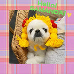 New Pet Hat Cute Style Braid Headgear Spring And Autumn