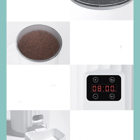 Cat Automatic Pet Feeder Intelligence